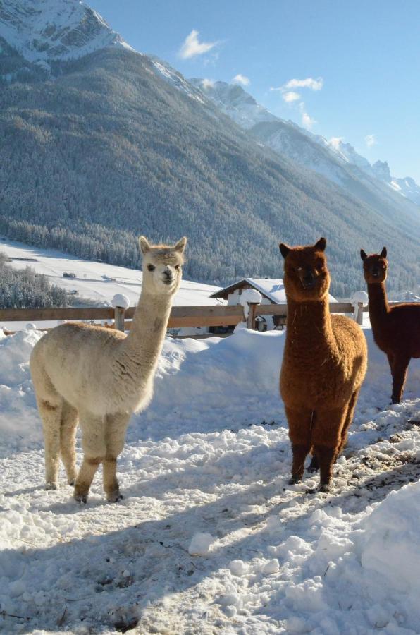 Pension Kirchbrugger Telfes im Stubai Bagian luar foto